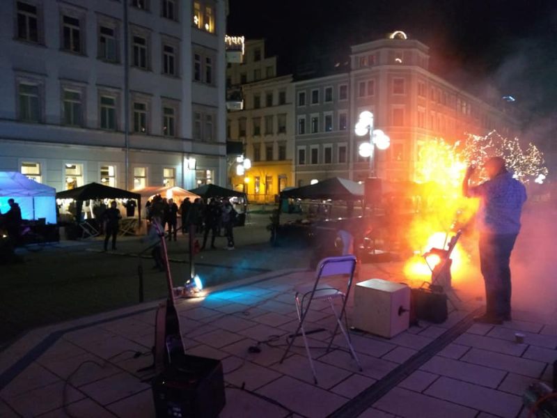 Datei:2019-12-22 Winterbaumwollbaum 03.jpg