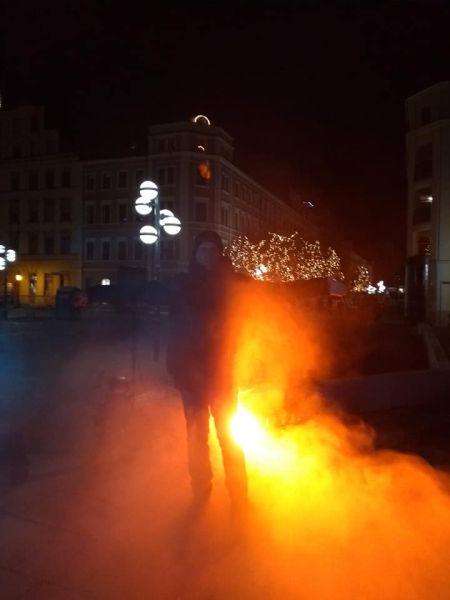 Datei:2019-12-22 Winterbaumwollbaum 06.jpg